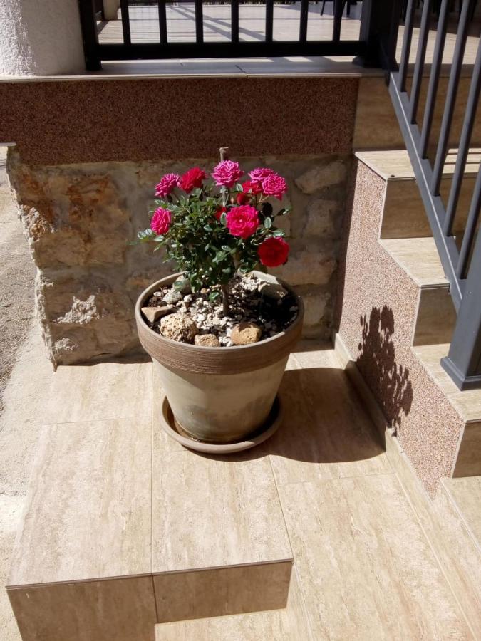 Apartment Plitvice Starigrad Paklenica Bagian luar foto